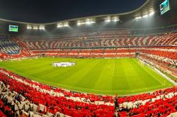 开云平台-喀麦隆斩落比利时，萨内冠军级表现背后的非洲足球新纪元