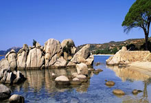 开云官方app入口-包含吉祥物大熊猫惹人爱心脏吉林体操队夺金的词条