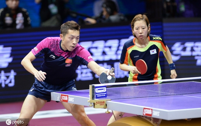 包含波兰队鏖战韩国队，许昕惊艳四座的词条