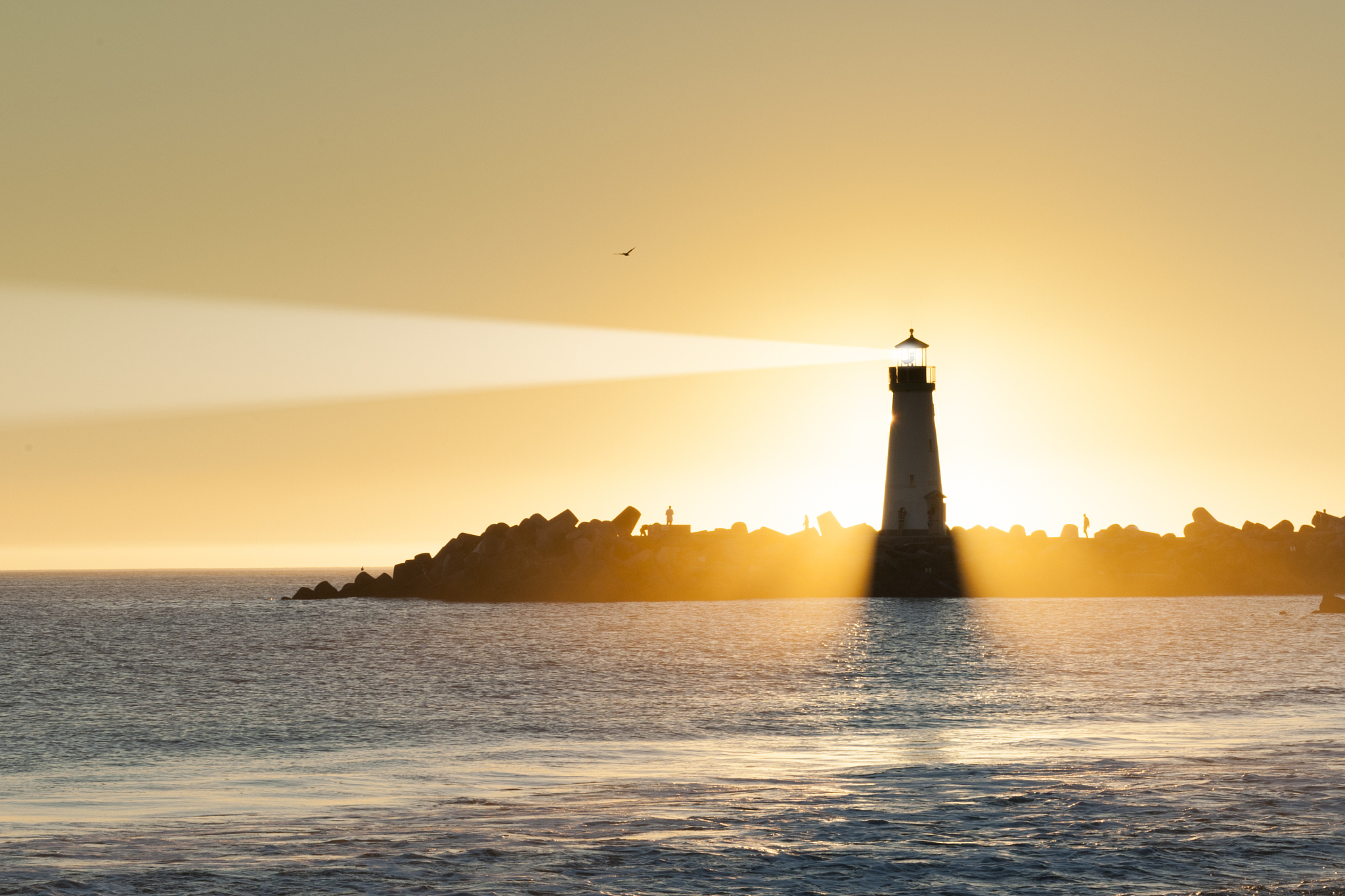 包含风云际会，冠军之路漫长且充满挑战！的词条